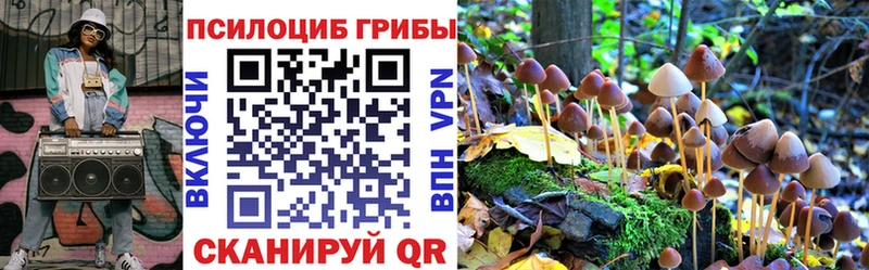 Псилоцибиновые грибы ЛСД  цена наркотик  площадка формула  Агидель 